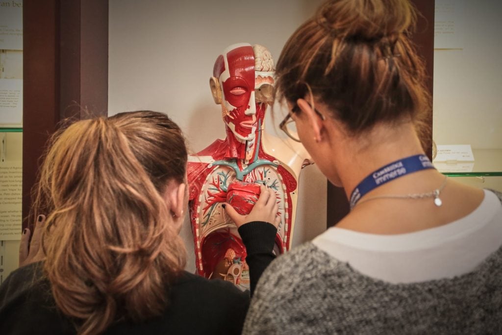 Medicine at University of Cambridge