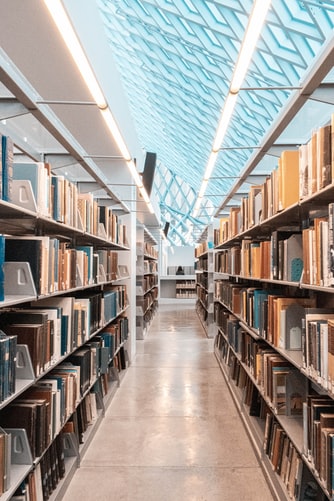 A pathway between bookshelves