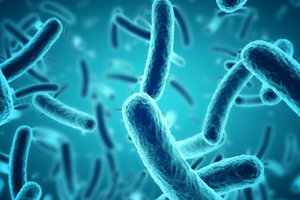 close-up of blue bacteria