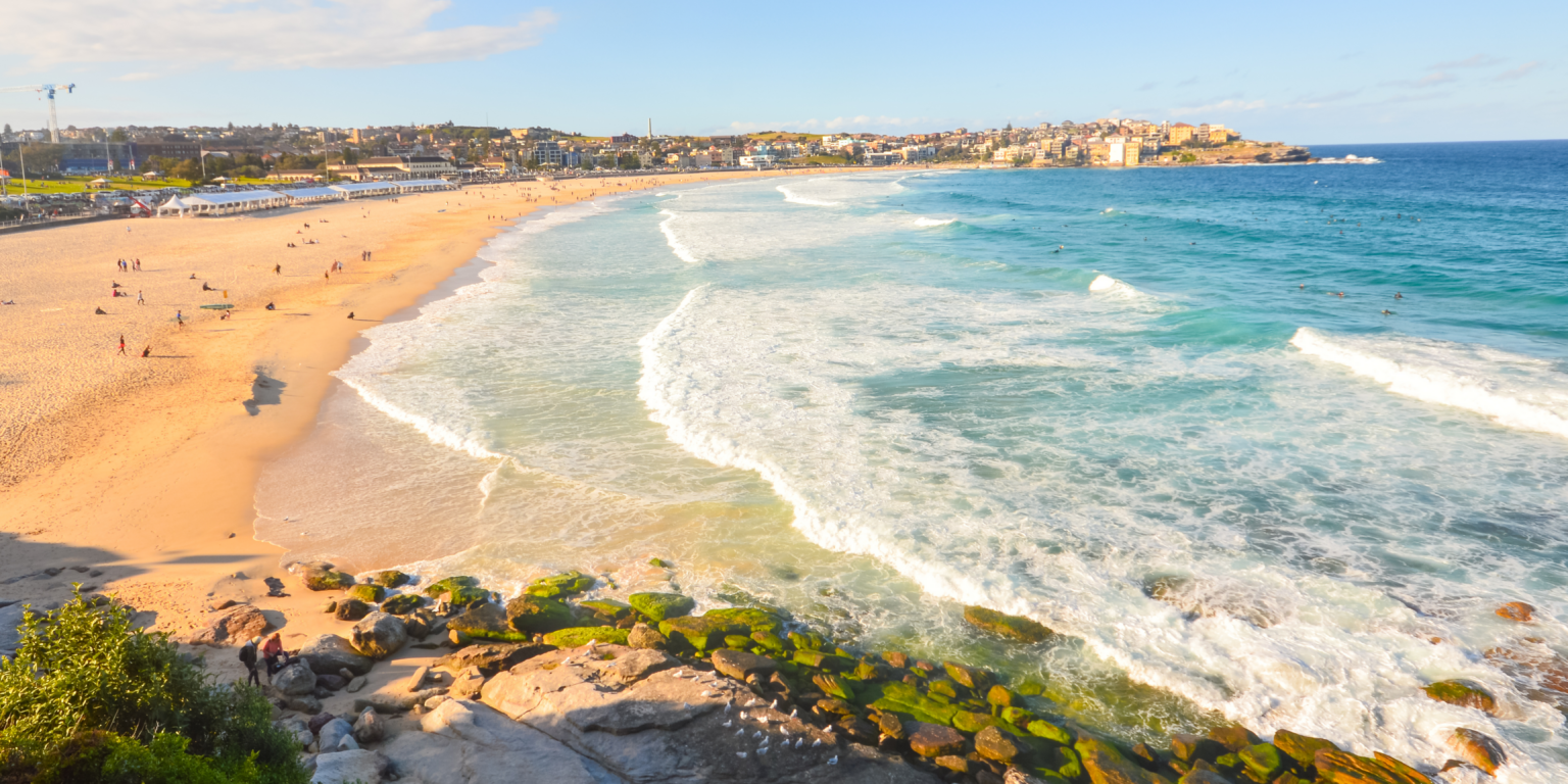 Living and Working in Sydney, Australia Immerse Education