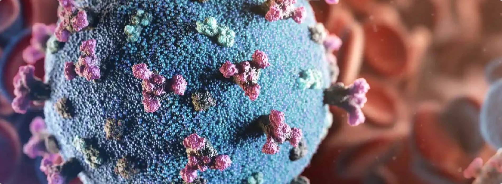 A close up photo of a virus