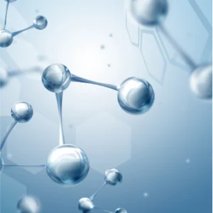 A molecule or an atom