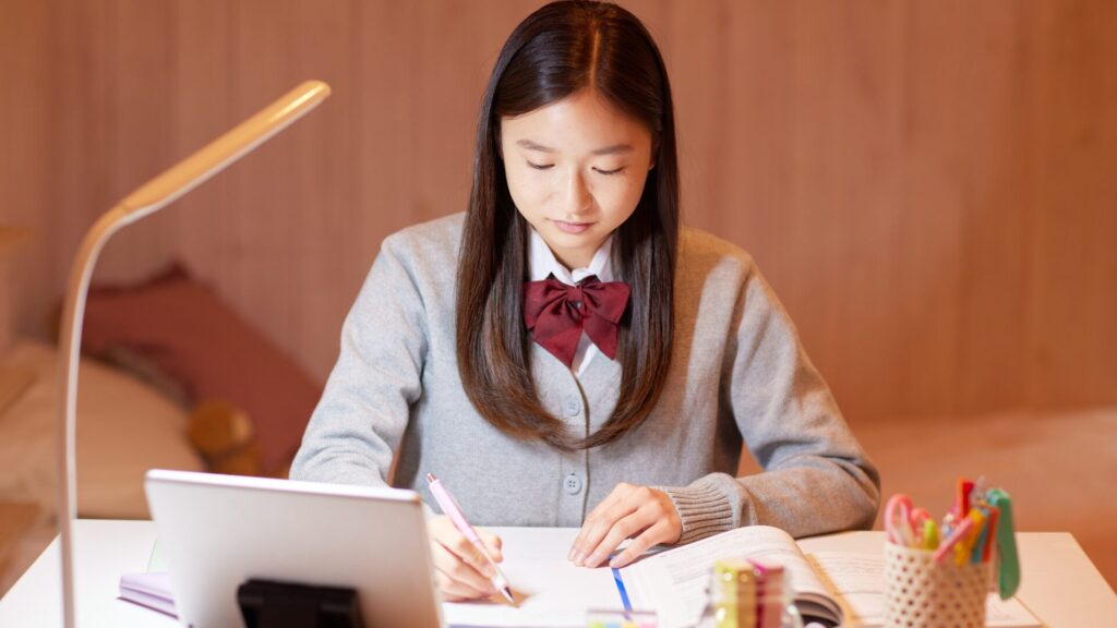 Pioneer Academics review