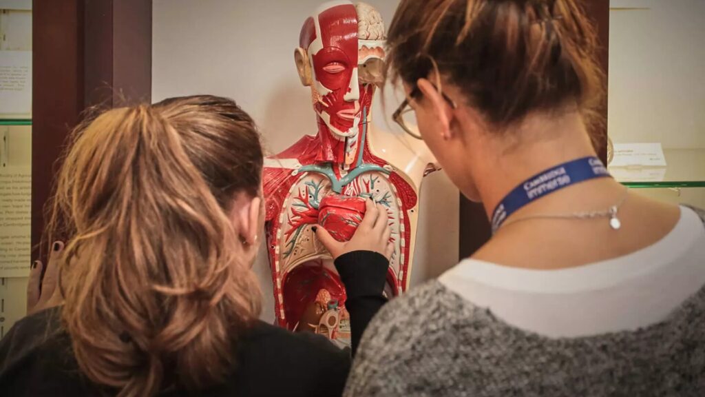 15 Medical Summer Programs in the UK for High School Students 1