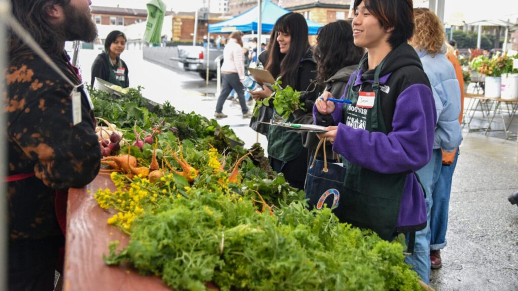 15 Summer Programs for High School Students in San Francisco 3