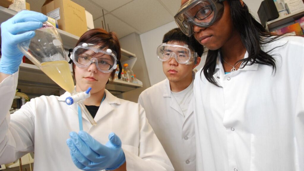 15 Summer Research Opportunities for High School Students 3