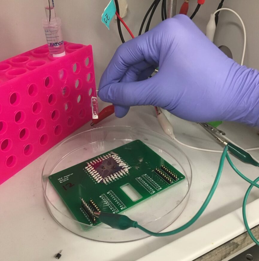 15 Summer Programs for High School Students in Boston 2