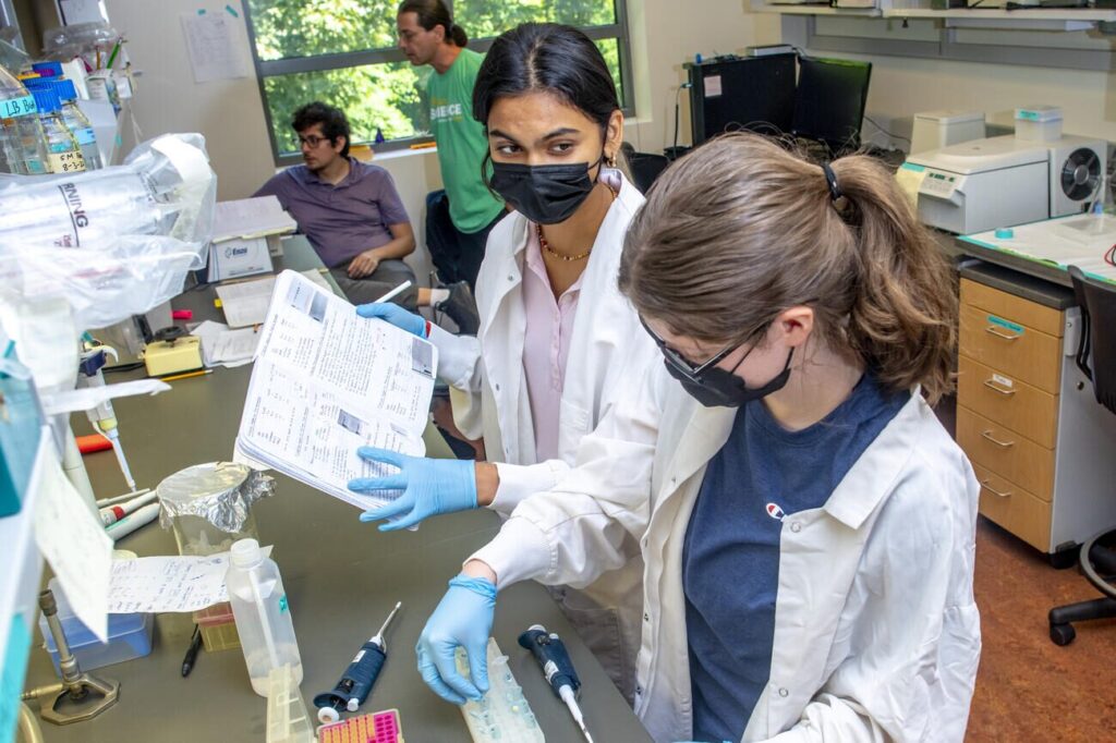 15 Summer School Programs for High School Students 3