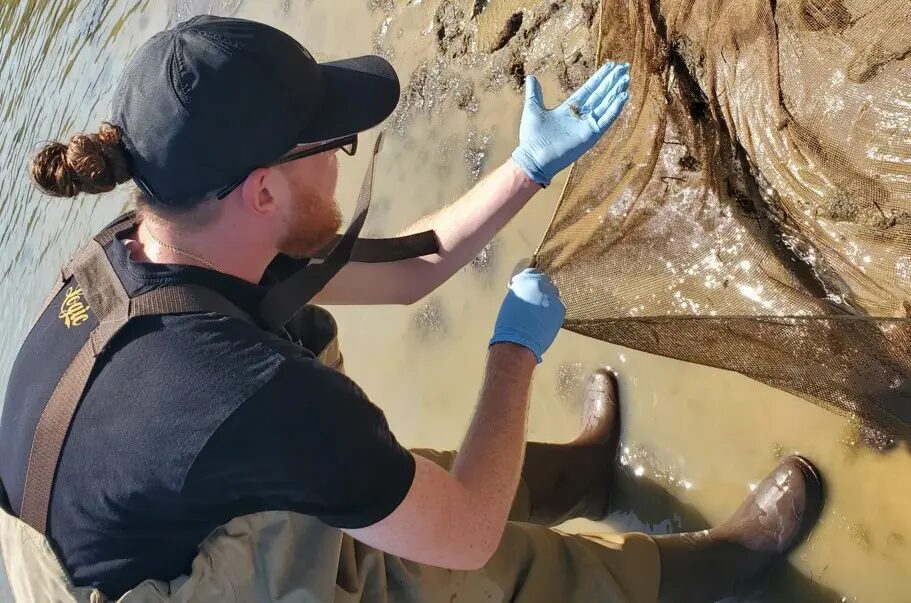 15 Best Biology Summer Programs for High School Students 2