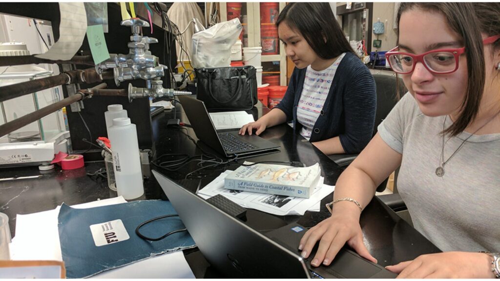 15 Summer Work Programs for High School Students 2