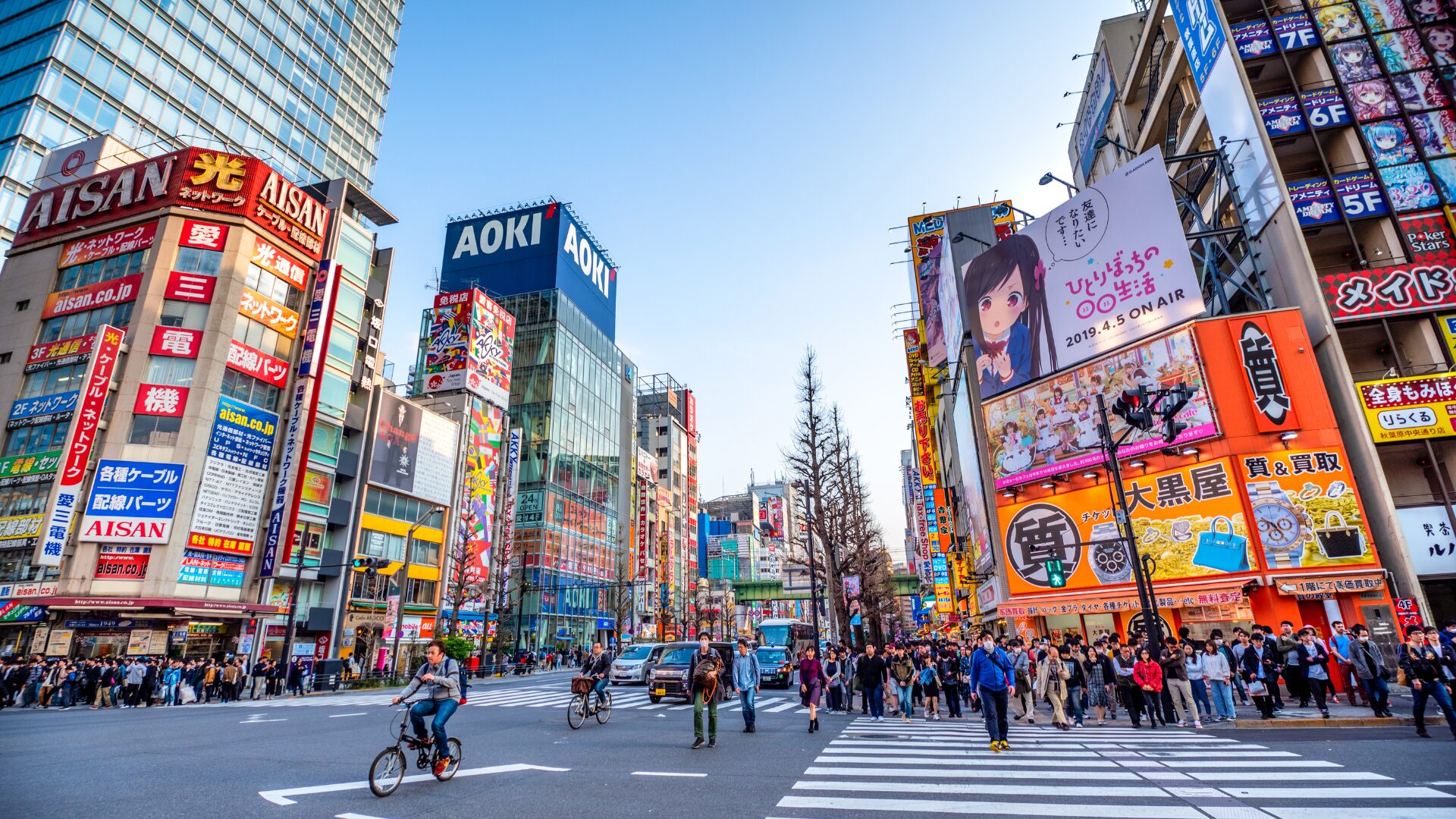 Study Abroad Programmes in Japan