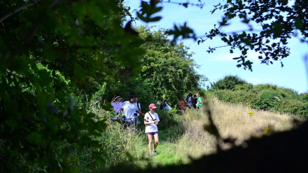 15 Free Summer Camps for Teens 2