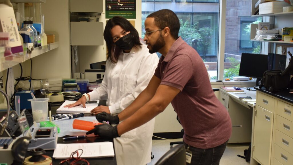 15 Biology Summer Camps for High School Students 2