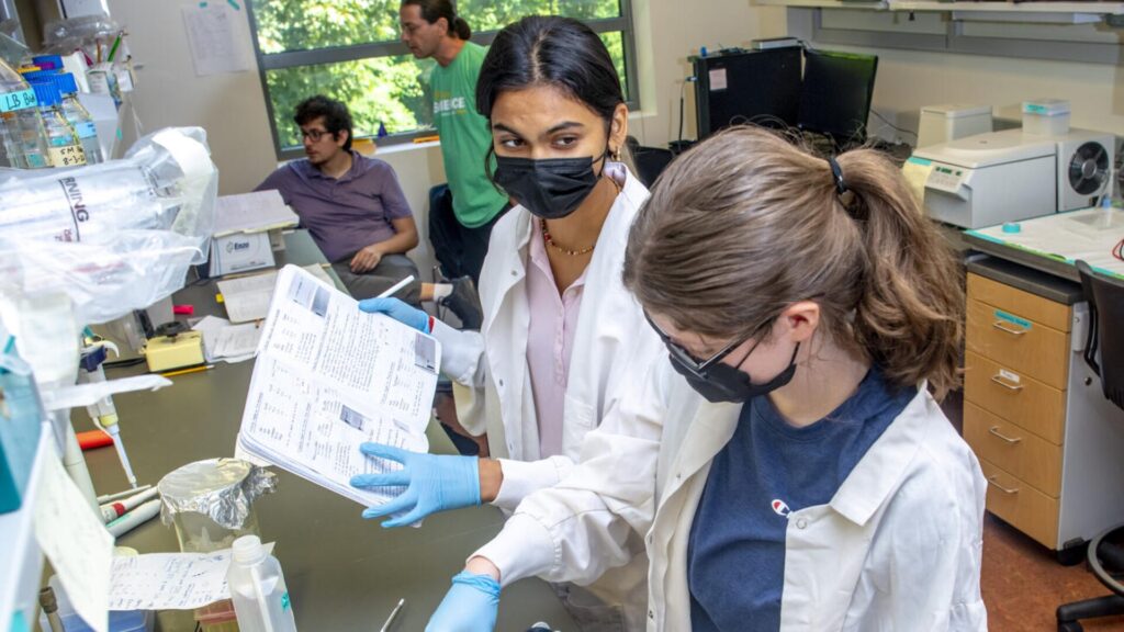 15 Free AI Summer Programs for High School Students 2