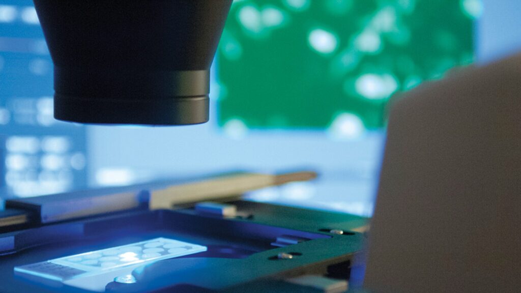 15 Summer Internships in NYC for High School Students 3