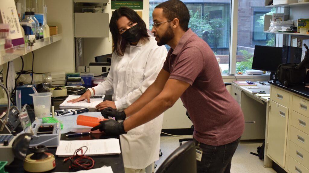 15 Summer STEM Internships for High School Students 2