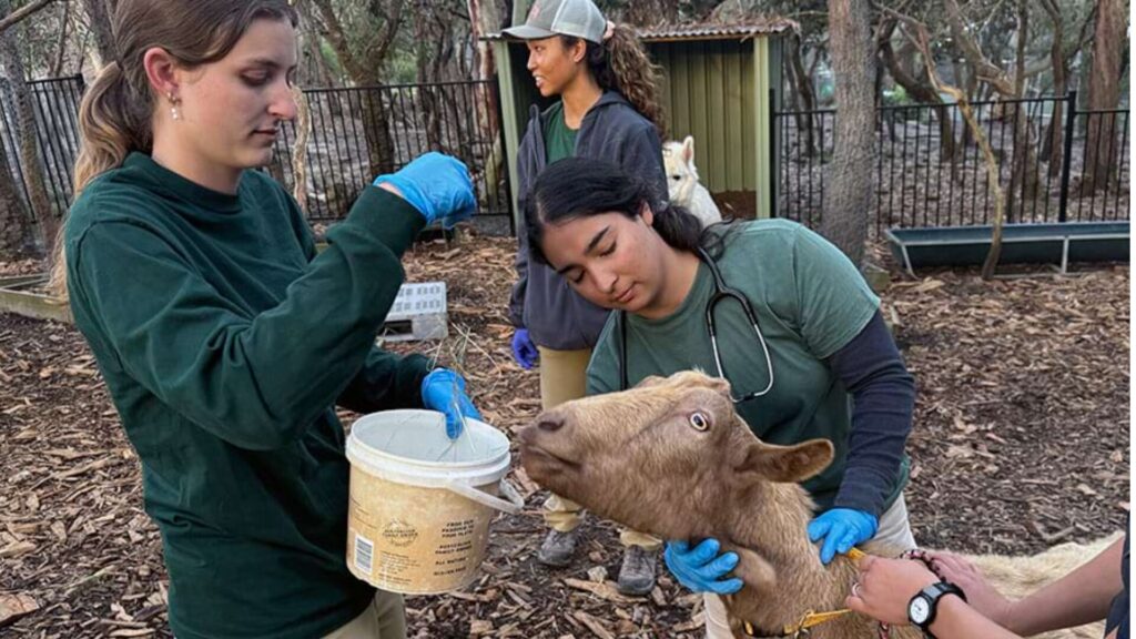 15 Sydney Summer Schools for High School Students 2