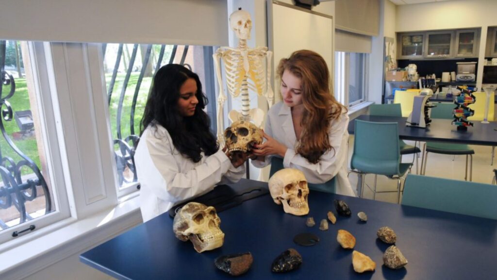 15 Research Programs in NYC for High School Students 2