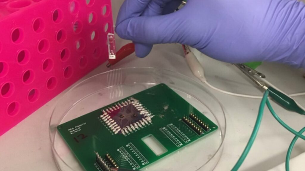 15 Engineering Summer Schools in Boston for High School Students 2