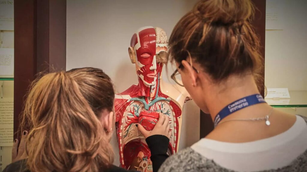 15 Healthcare Internships for High School Students 1