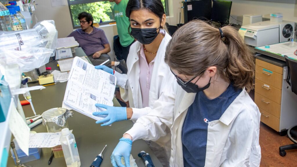 15 AI Internships for High School Students 3