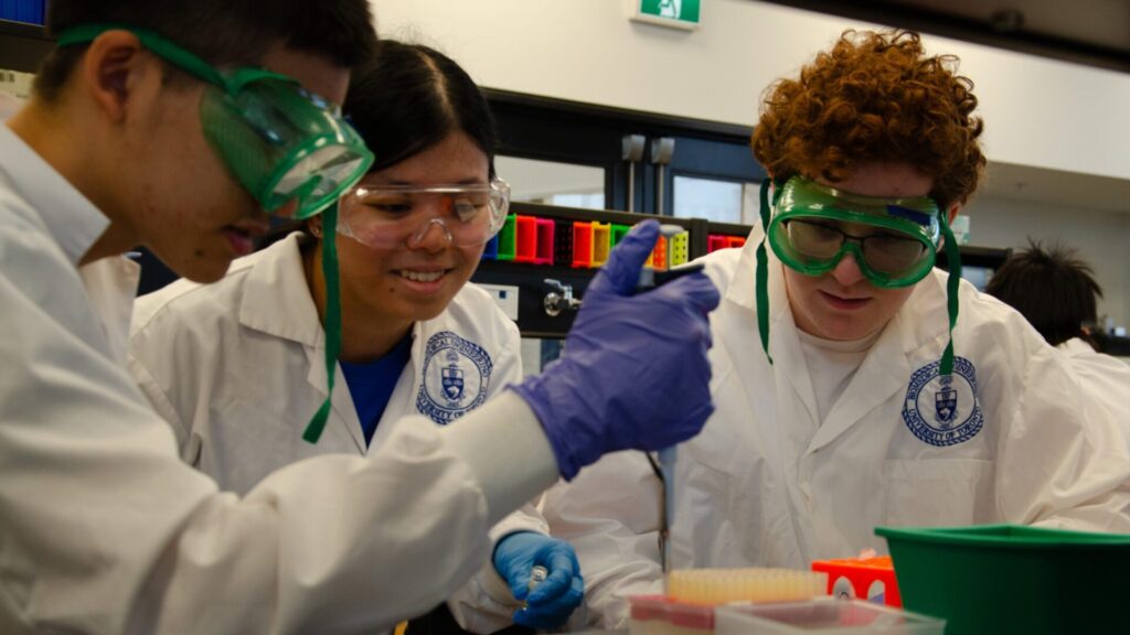 15 College Prep Summer Programs 3