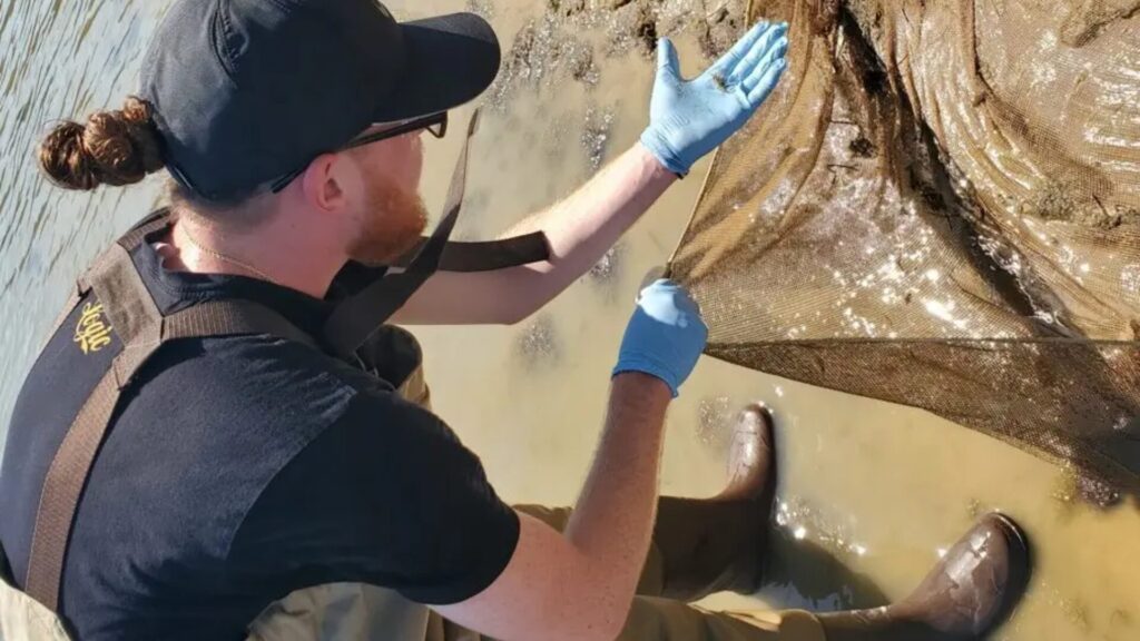 15 University-Level Biology Programs for High School Students 3