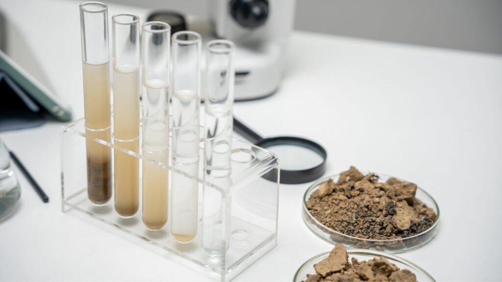 natural sciences summer programs high school students