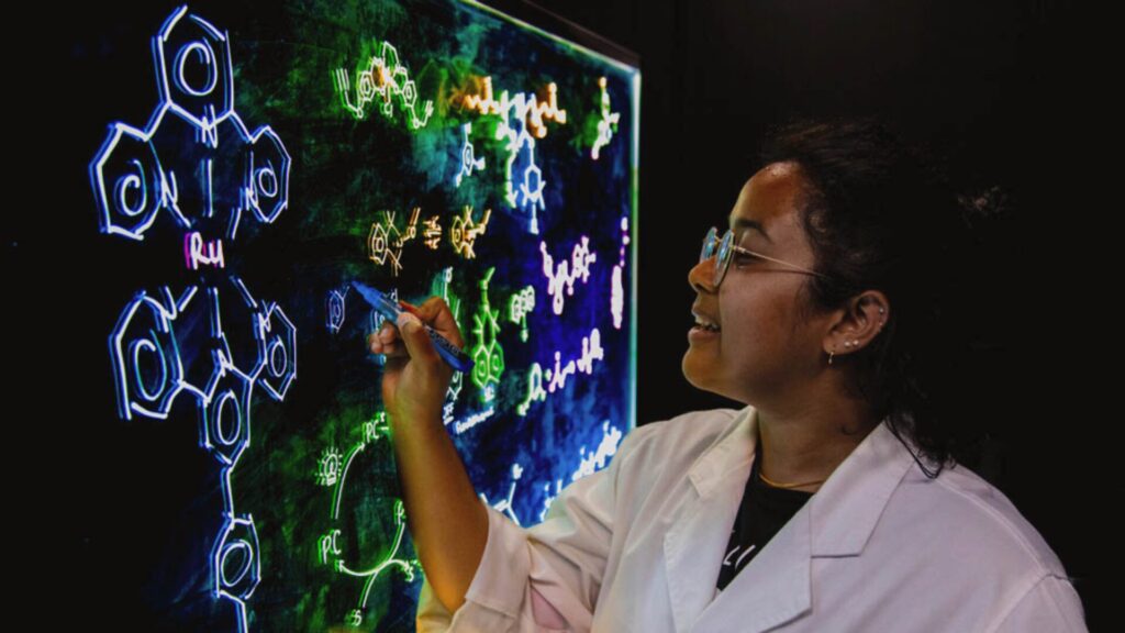 15 Internships in Australia for High School Students 2