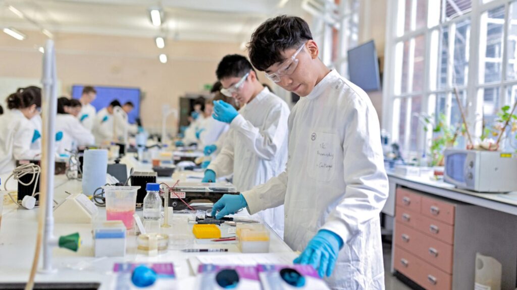 15 Pre-Med Summer Programs for High School Students 3