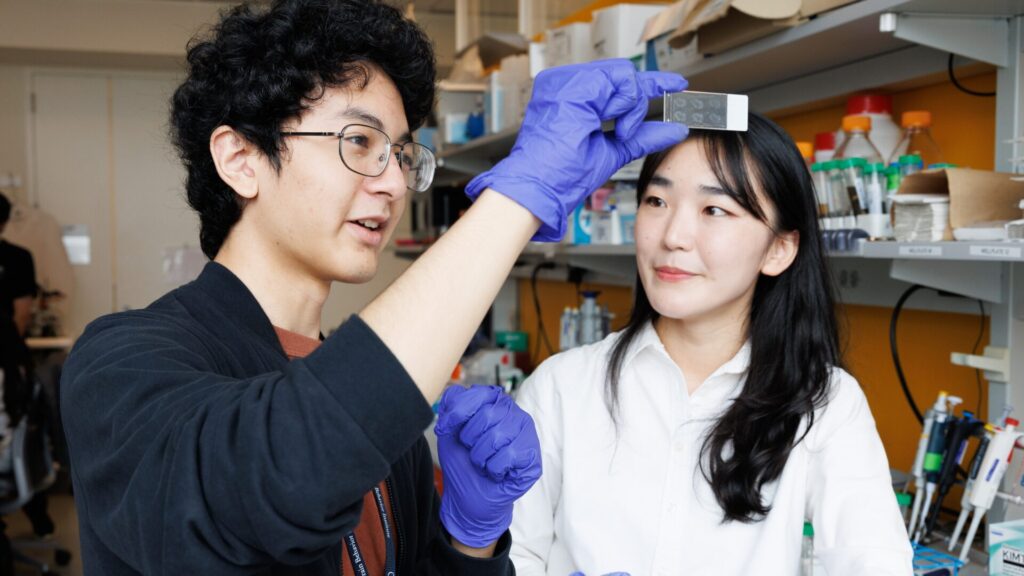 15 Free Research Programs for High School Students 2