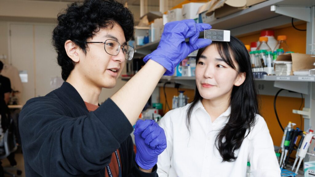 15 Summer Programs for High School Students in 2026 2