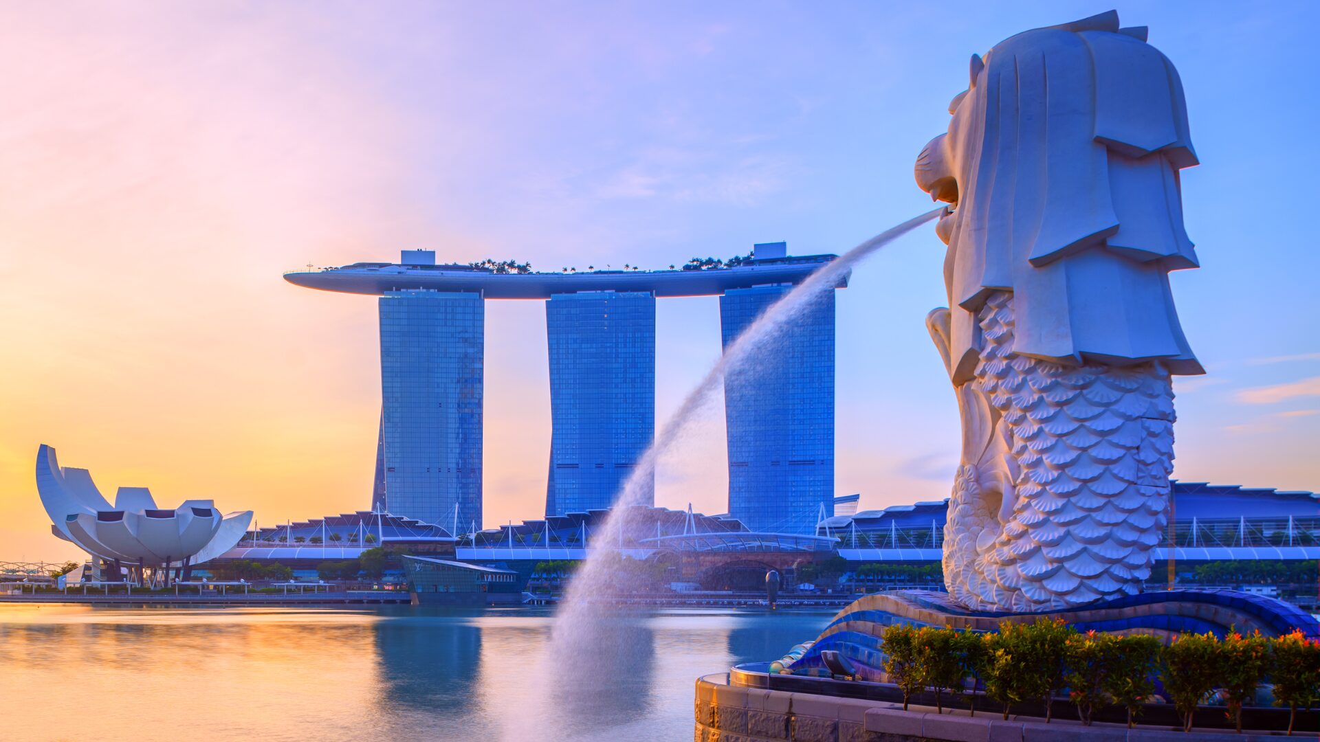 study in singapore