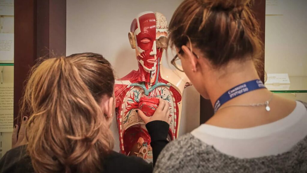 15 Medical Shadowing Opportunities for High School Students 1