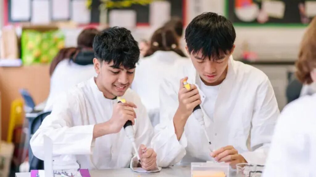 15 Medicine Summer Programs in Europe for High School Students 2