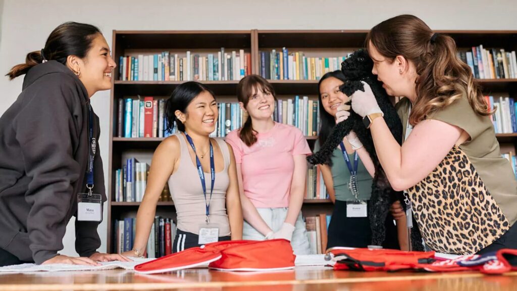 15 AI Programs in Australia for High School Students 1
