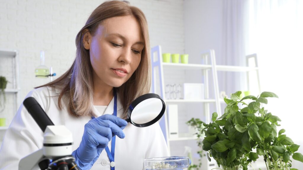 science internships for high school students nyc