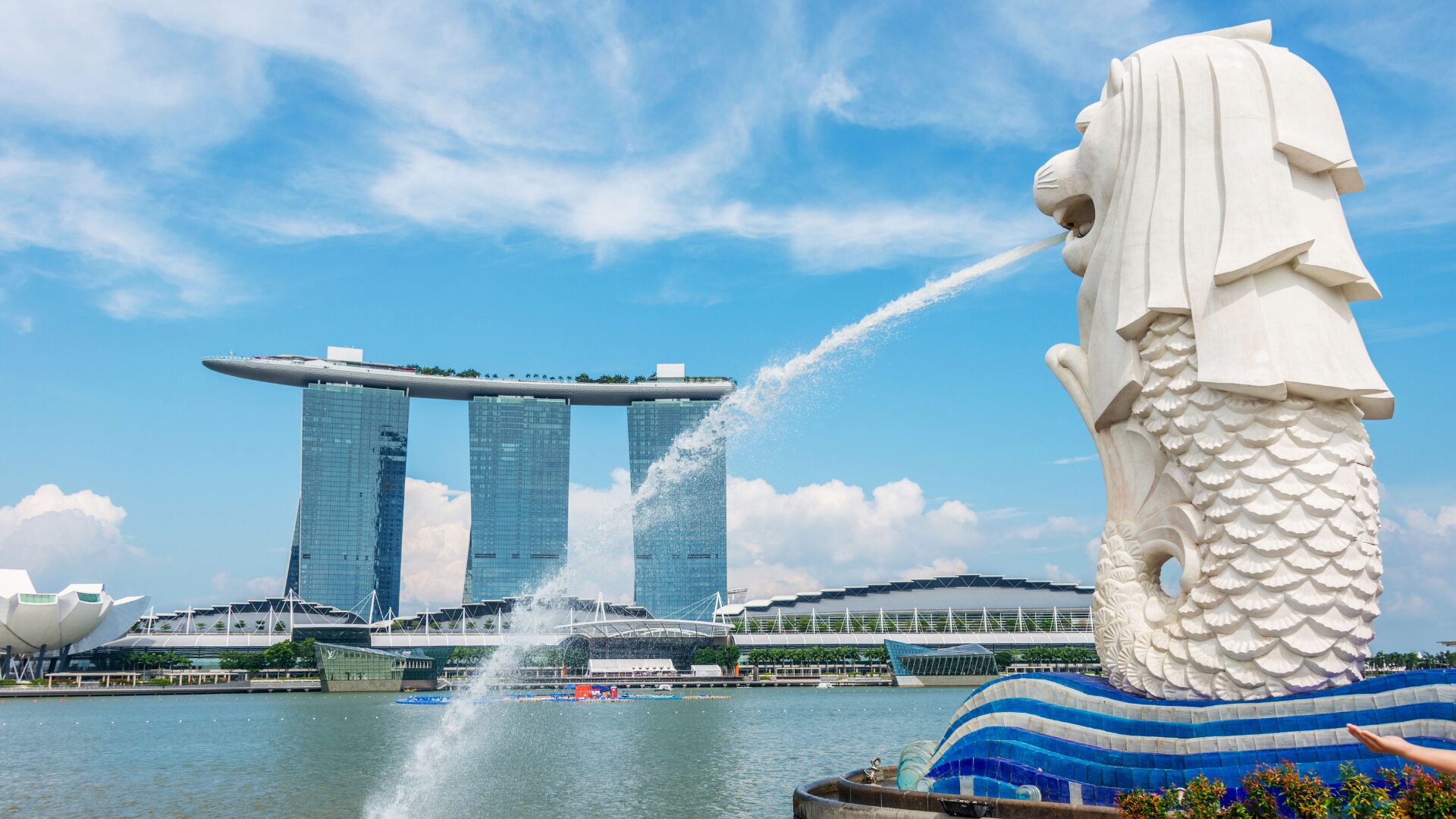 Summer Camps singapore for high school students