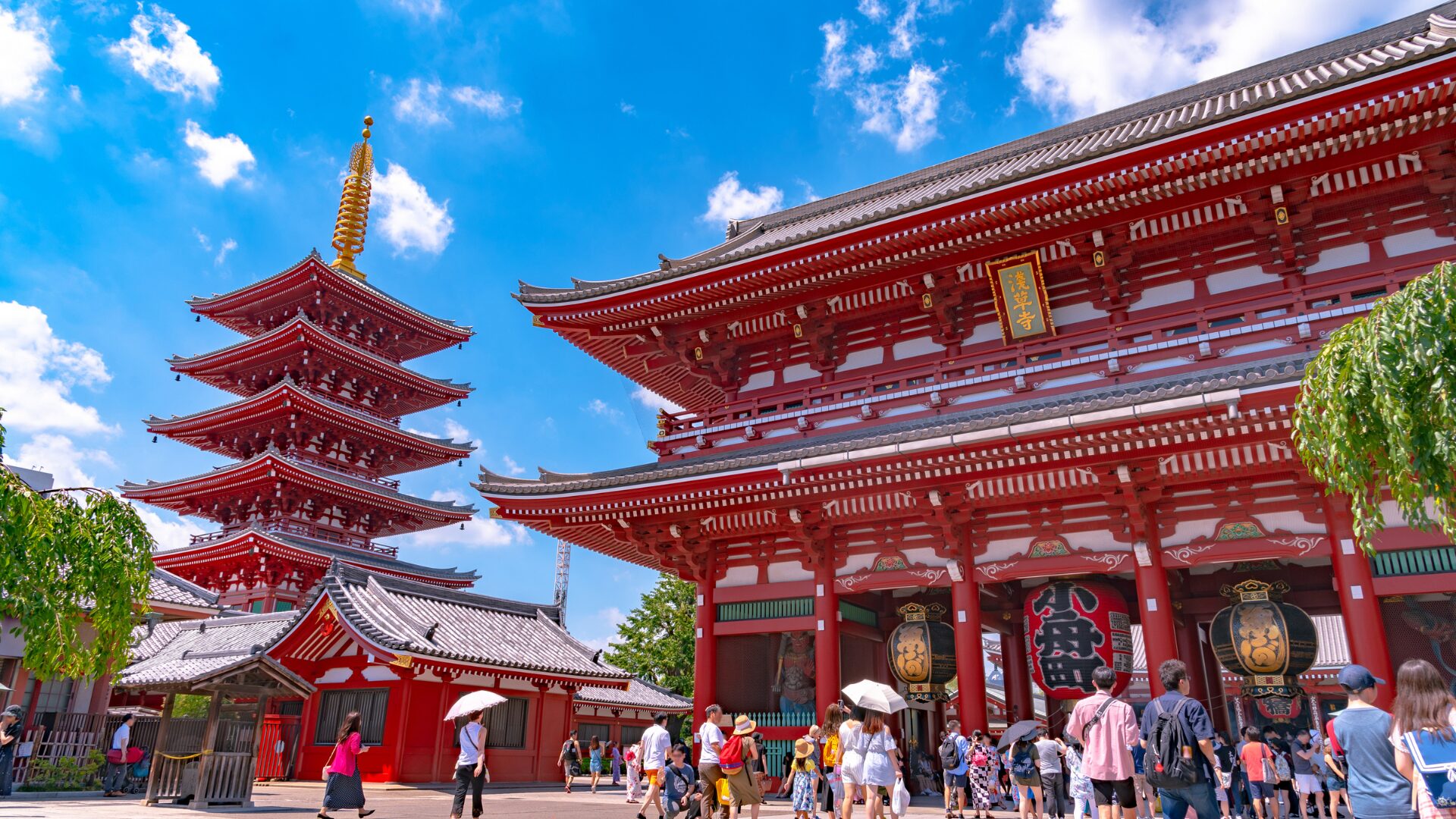 Summer Camps asia for high school students